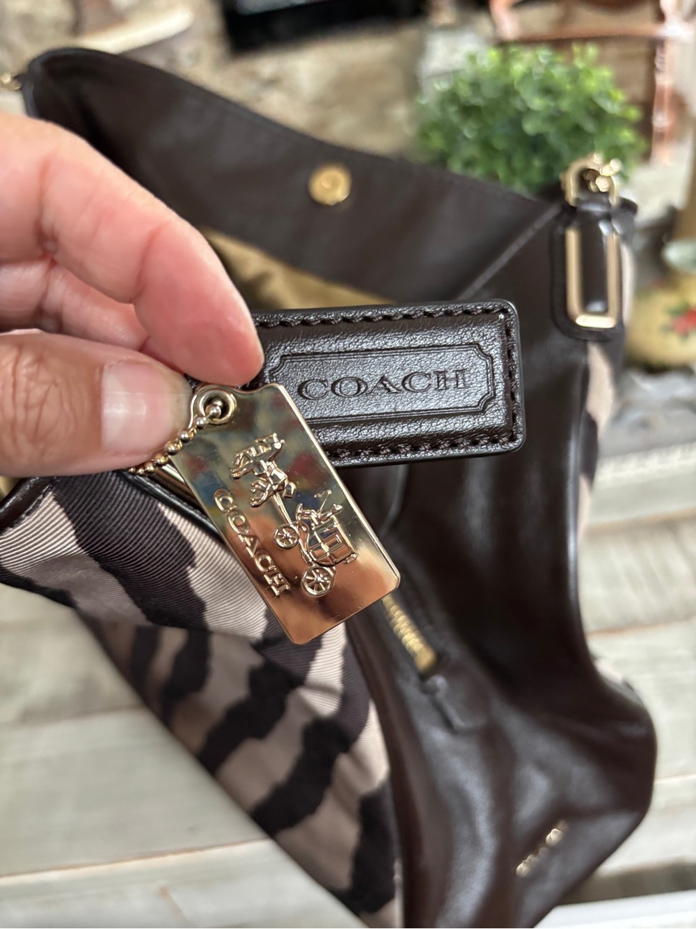 Coach Madison Zebra Print Small Phoebe Shoulder Bag - Picture 7 of 14